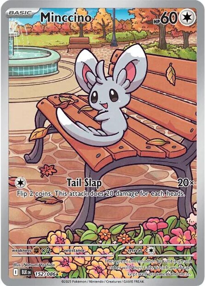 Minccino 152/086 Holo Illustration Rare Black Bolt Pokemon Near Mint