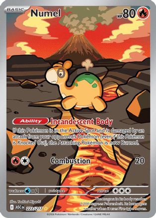Numel 223/217 Illustration Rare Ascended Heroes Pokemon Near Mint