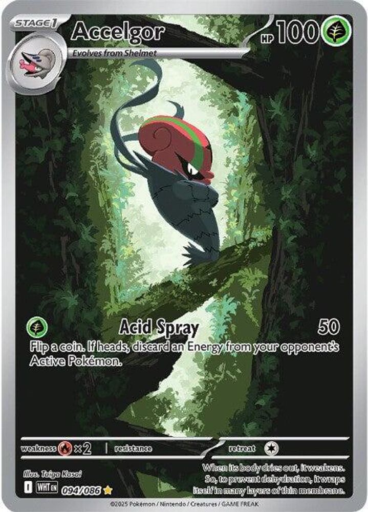 Accelgor 094/086 Holo Illustration Rare White Flare Pokemon Near Mint