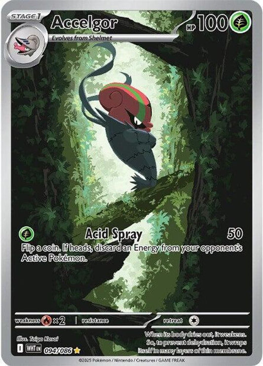 Accelgor 094/086 Holo Illustration Rare White Flare Pokemon Near Mint