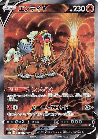 Entei V 213/172 Special Art Rare VSTAR Universe Pokemon Japanese Holo Near Mint