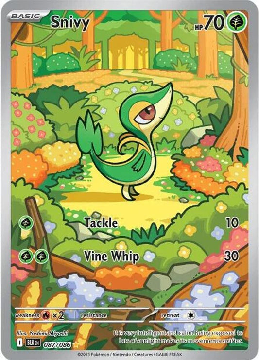 Snivy 087/086 Holo Illustration Rare Black Bolt Pokemon Near Mint