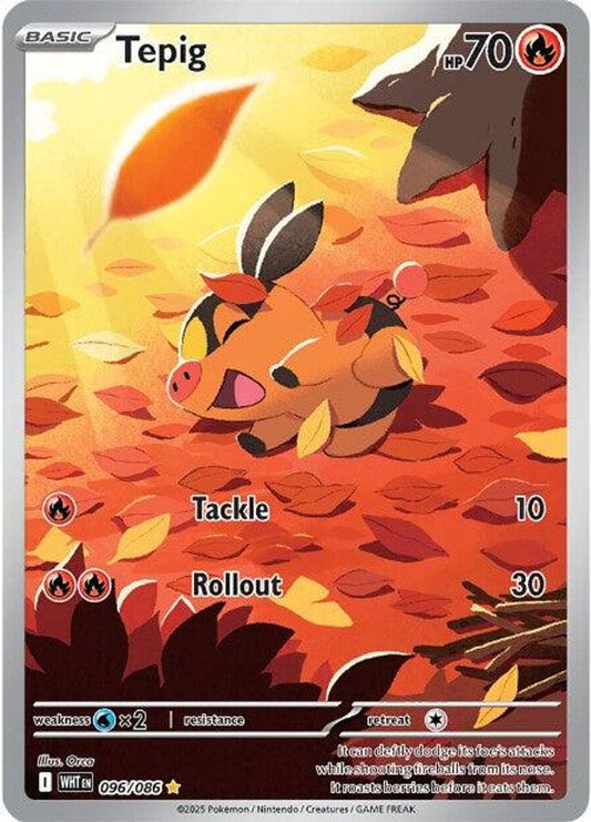 Tepig 096/086 Illustration Rare White Flare Pokemon Holo Near Mint