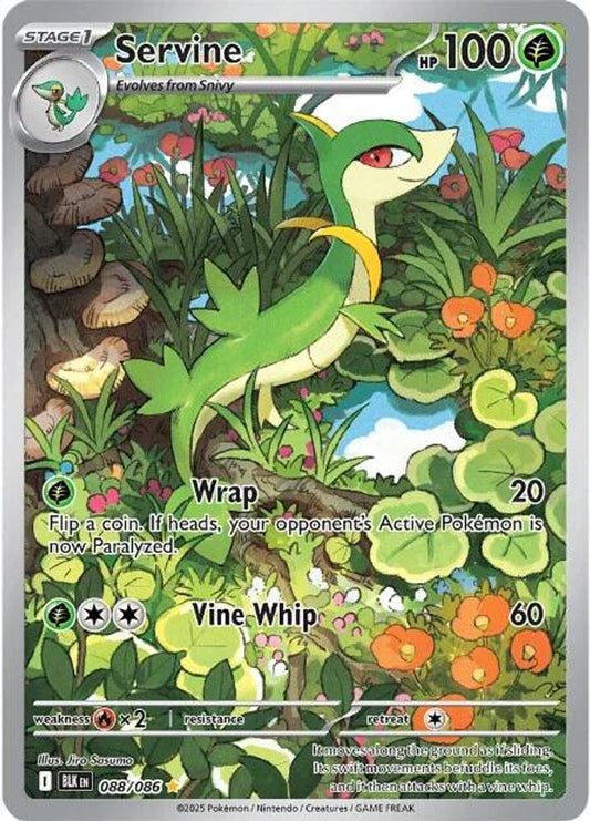 Servine 088/086 Holo Illustration Rare Black Bolt Pokemon Near Mint