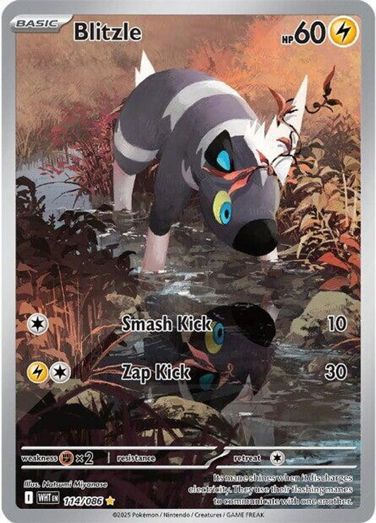 Blitzle 114/086 Illustration Rare White Flare Pokemon Holo Near Mint