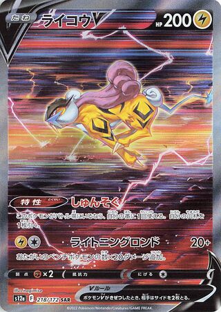 Raikou V 218/172 Special Art Rare VSTAR Universe Pokemon japanese Near Mint