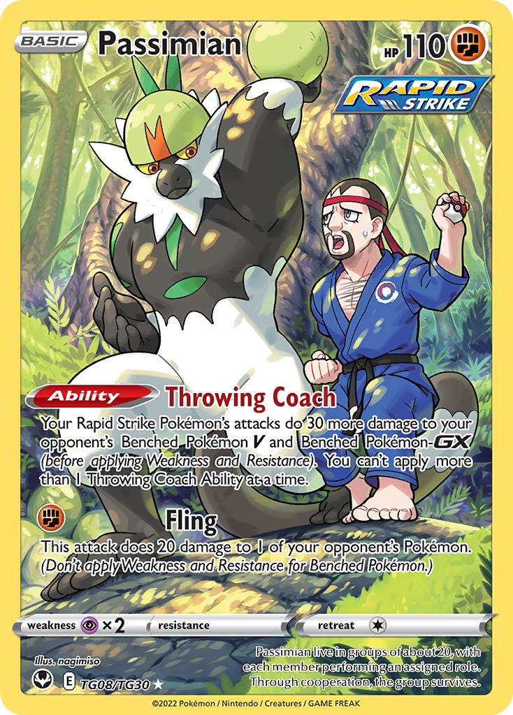 Passimian TG08/TG30 Holo Silver Tempest Trainer Gallery Pokemon NM